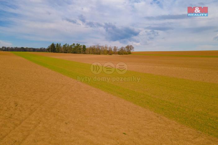 Prodej pole, Tlučná, 9418 m2