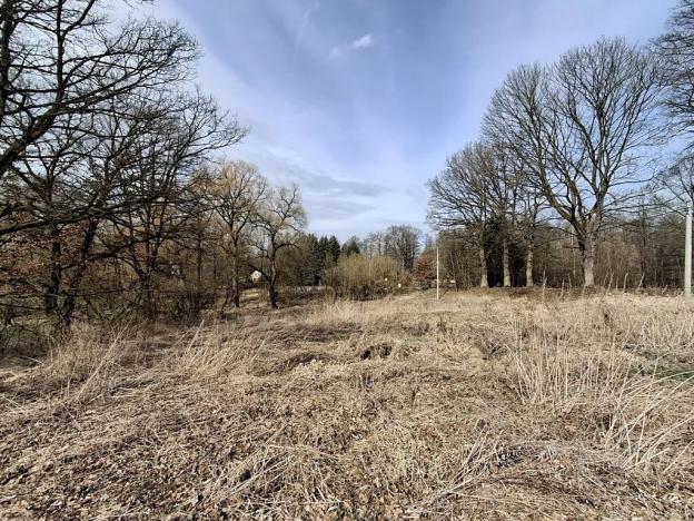 Prodej pozemku pro bydlení, Milíkov, 4644 m2