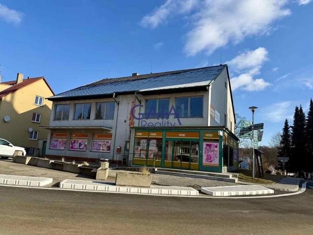 Prodej obchodního prostoru, Staré Město pod Landštejnem, 307 m2