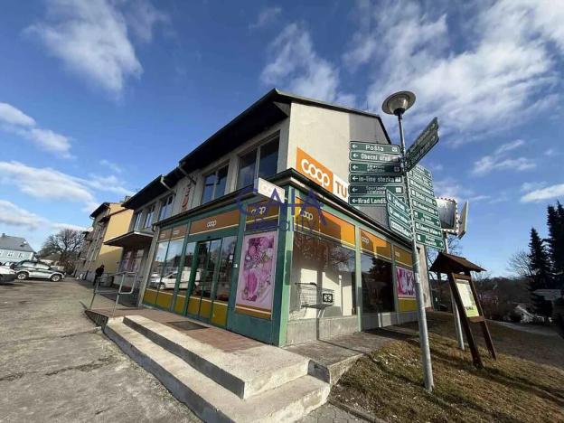 Prodej obchodního prostoru, Staré Město pod Landštejnem, 307 m2