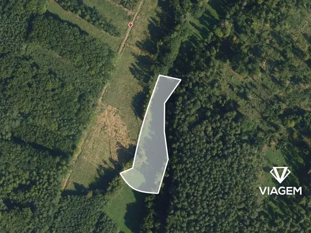 Prodej podílu pole, Morašice, 3959 m2
