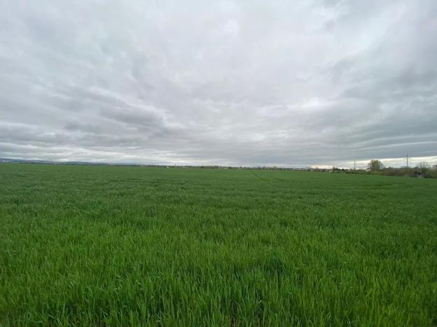 Prodej komerčního pozemku, Brno, 9415 m2