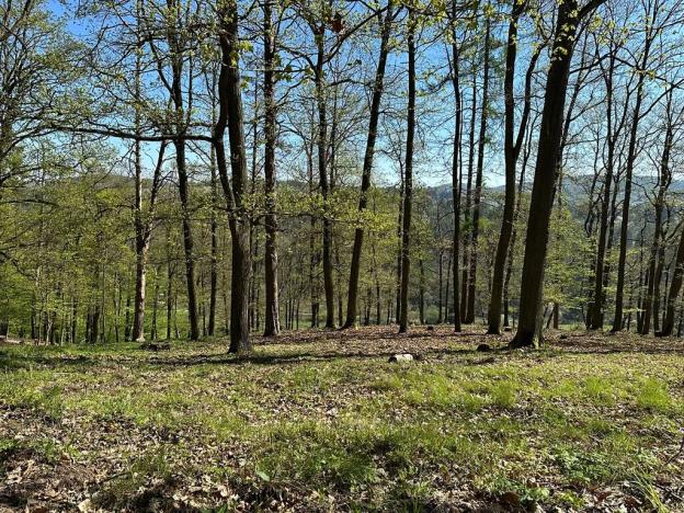 Prodej chaty, Štěchovice, 170 m2