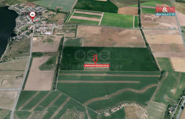 Prodej pole, Pasohlávky, 5910 m2