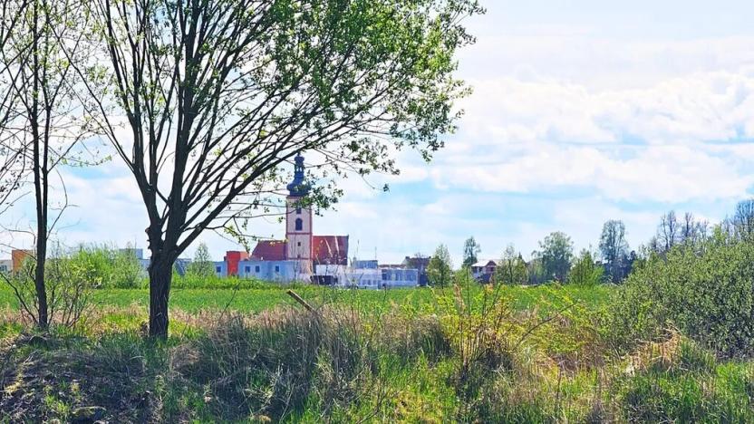 Prodej pozemku pro bydlení, Žíšov, 913 m2