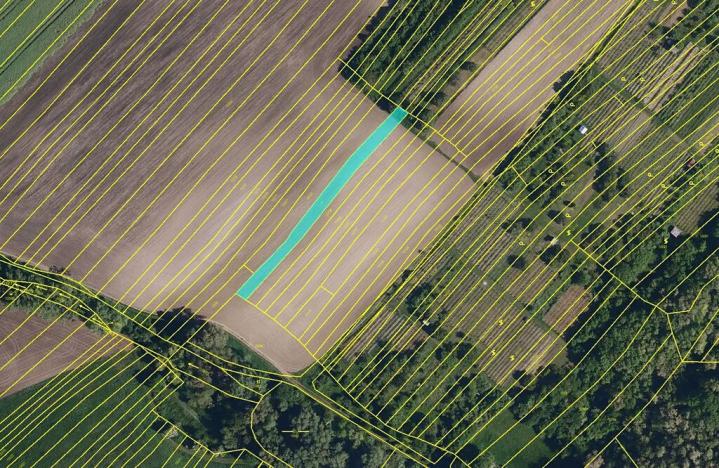 Prodej pole, Šitbořice, 31279 m2