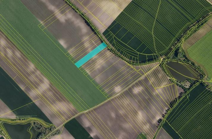 Prodej pole, Šitbořice, 31279 m2