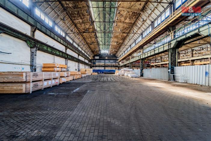 Pronájem výrobních prostor, Ostrava - Vítkovice, 4488 m2