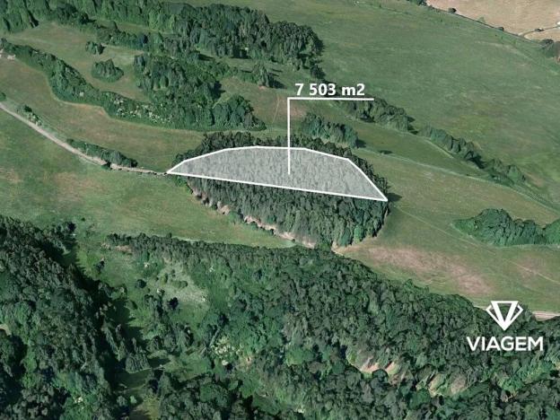 Prodej podílu lesa, Vyšší Brod, 1250 m2