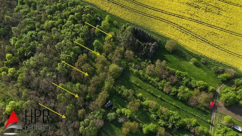 Prodej zahrady, Hostěrádky-Rešov, 980 m2