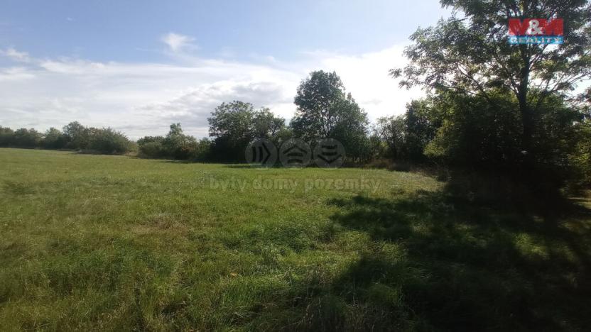 Prodej louky, Jenčice, 13227 m2