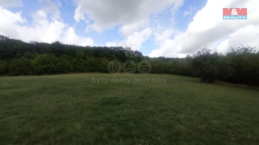 Prodej louky, Jenčice, 12373 m2