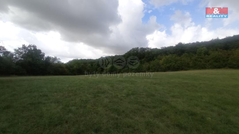 Prodej louky, Jenčice, 12373 m2