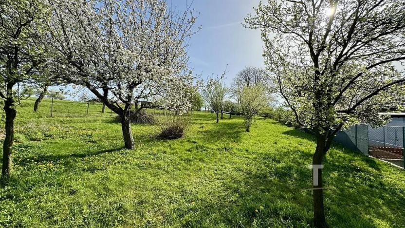 Prodej pozemku pro bydlení, Bořitov, 2381 m2