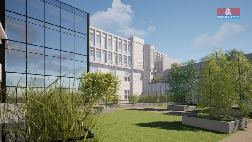 Pronájem obchodního prostoru, Opava - Město, Masarykova třída, 50 m2