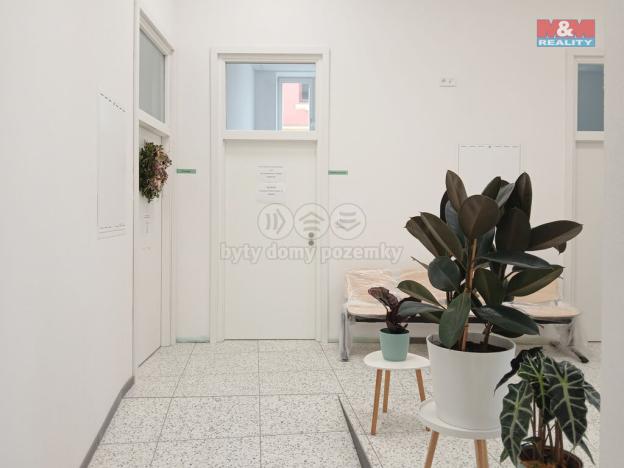 Pronájem obchodního prostoru, Opava - Město, Masarykova třída, 20 m2