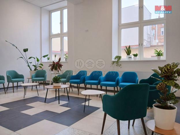 Prodej obchodního prostoru, Opava - Město, Masarykova třída, 160 m2