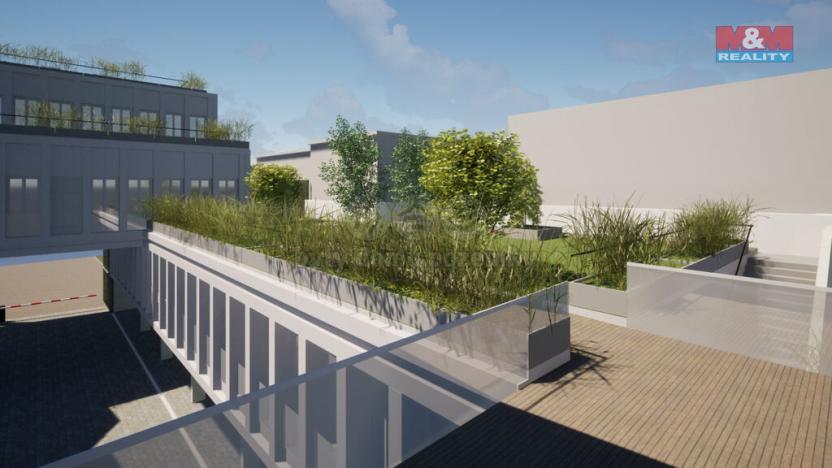 Prodej obchodního prostoru, Opava - Město, Masarykova třída, 50 m2