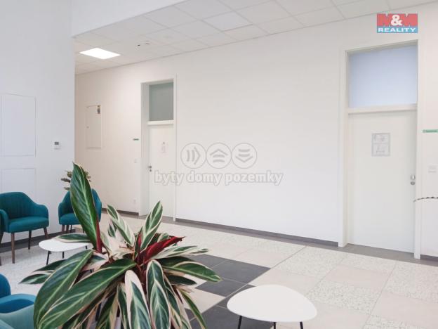 Prodej obchodního prostoru, Opava - Město, Masarykova třída, 40 m2