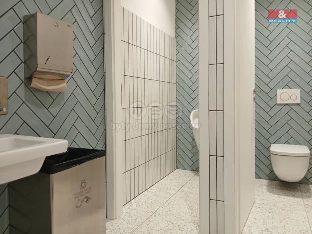 Prodej obchodního prostoru, Opava - Město, Masarykova třída, 30 m2