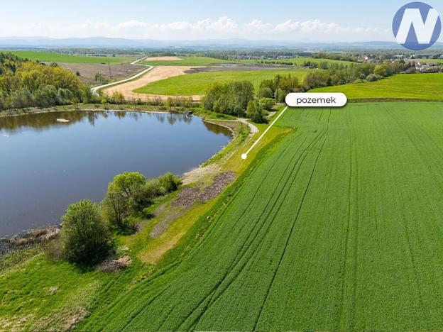 Prodej louky, Olešník, 2512 m2