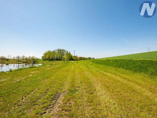 Prodej louky, Olešník, 2512 m2