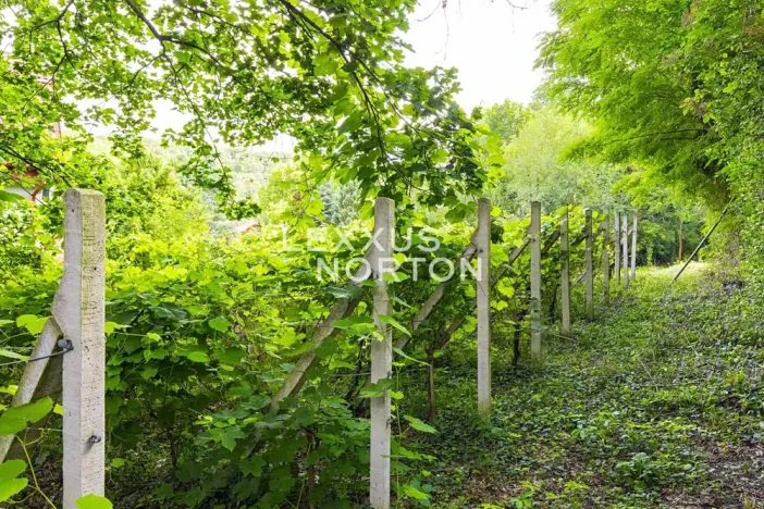 Prodej pozemku pro bydlení, Roztoky, Tiché údolí, 1416 m2