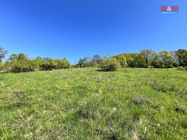 Prodej louky, Malšovice - Hliněná, 21830 m2