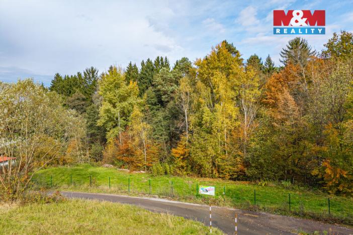 Prodej pozemku pro bydlení, Stříbrná Skalice, 1955 m2