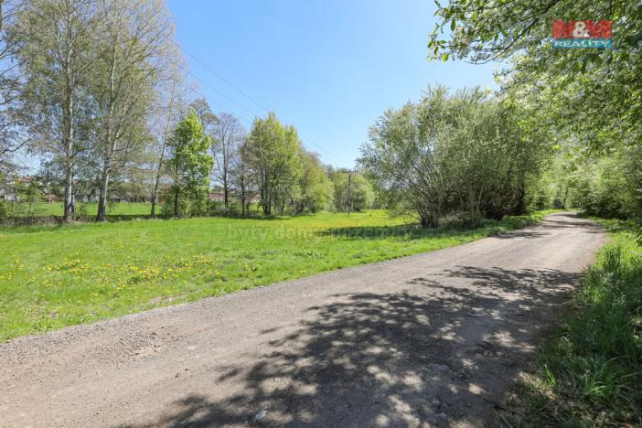 Prodej louky, Horní Bříza, U Kapličky, 4590 m2