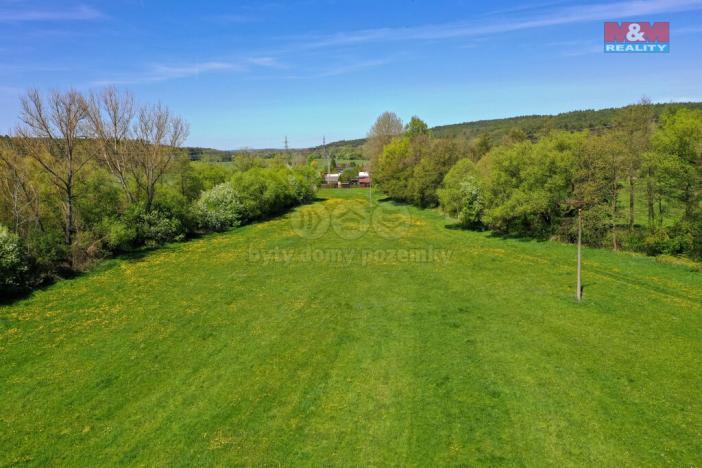 Prodej louky, Horní Bříza, U Kapličky, 4590 m2