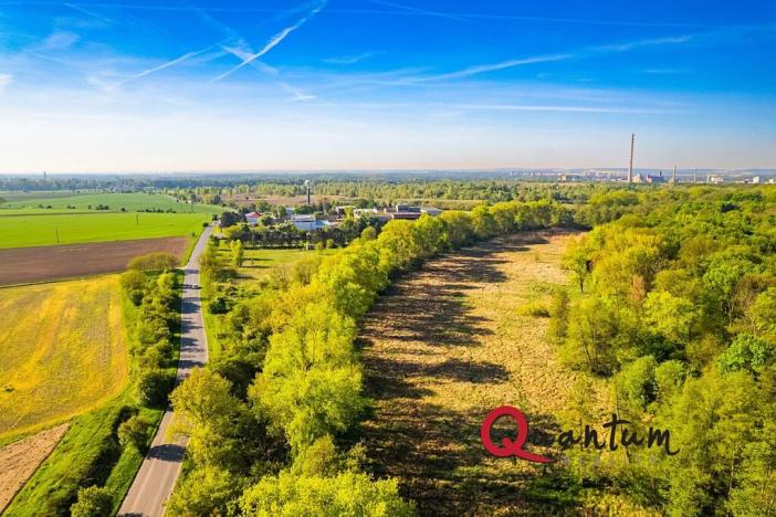 Prodej komerčního pozemku, Tišice, Mělnická, 6186 m2