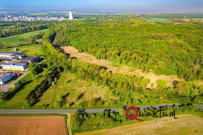 Prodej komerčního pozemku, Tišice, Mělnická, 6186 m2