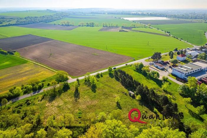 Prodej komerčního pozemku, Tišice, Mělnická, 6186 m2