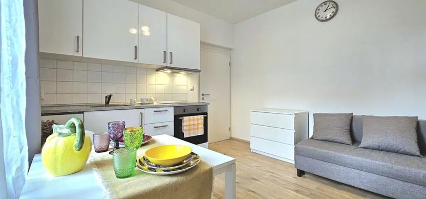 Pronájem bytu 1+kk, Praha - Krč, Budějovická, 21 m2