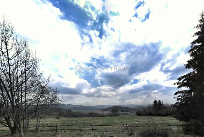 Prodej pole, Vacov, 23939 m2