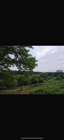 Prodej pozemku pro bydlení, Březnice, 1000 m2
