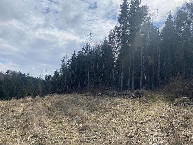 Prodej lesa, Červený Hrádek, 574 m2