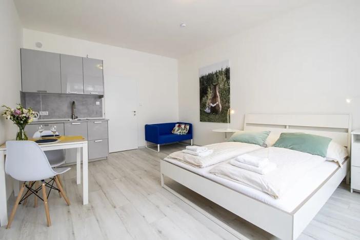 Pronájem bytu 1+kk, Praha - Nové Město, Na zbořenci, 30 m2