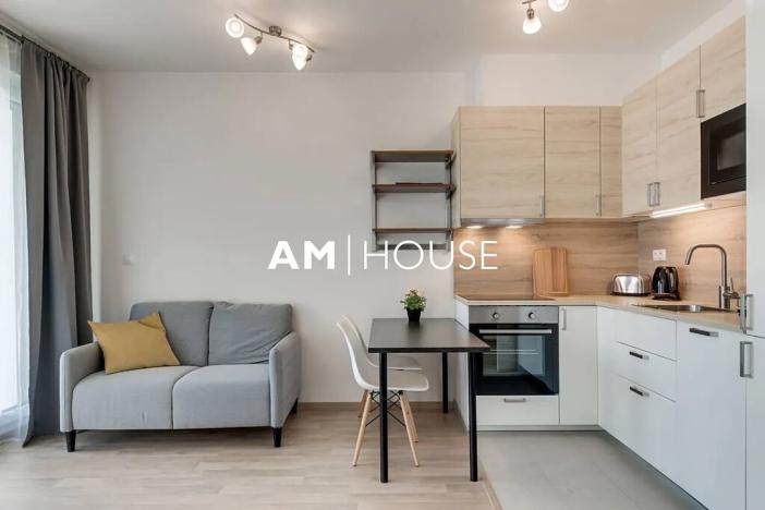 Pronájem bytu 1+kk, Praha - Žižkov, Olgy Havlové, 38 m2
