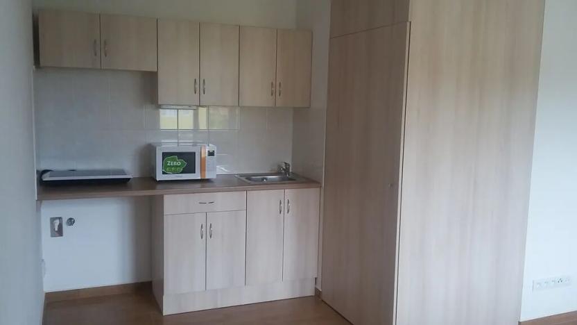 Pronájem bytu 1+kk, Přáslavice, 25 m2