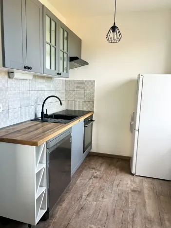 Pronájem bytu 2+1, Praha - Hodkovičky, Údolní, 60 m2