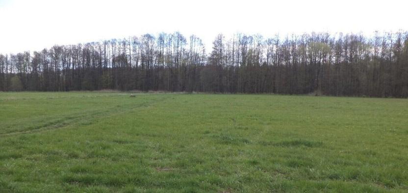 Prodej pole, Tachov, 45730 m2