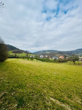 Prodej pozemku pro bydlení, Běleč, 4115 m2