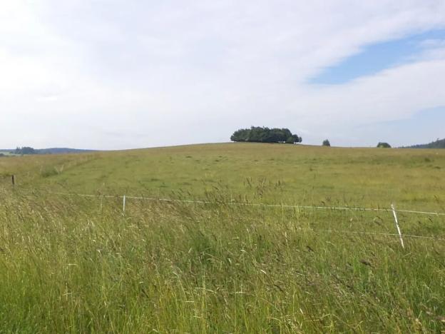 Dražba pole, Horní Štěpánov, 16122 m2