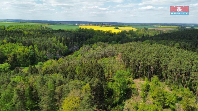 Prodej lesa, Černýšovice, 79857 m2