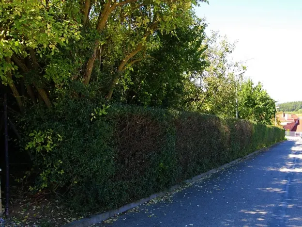 Prodej zahrady, Kanice, 2085 m2