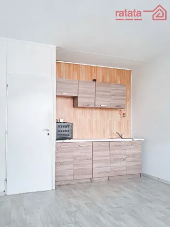Pronájem bytu 1+kk, Chomutov, Seifertova, 22 m2