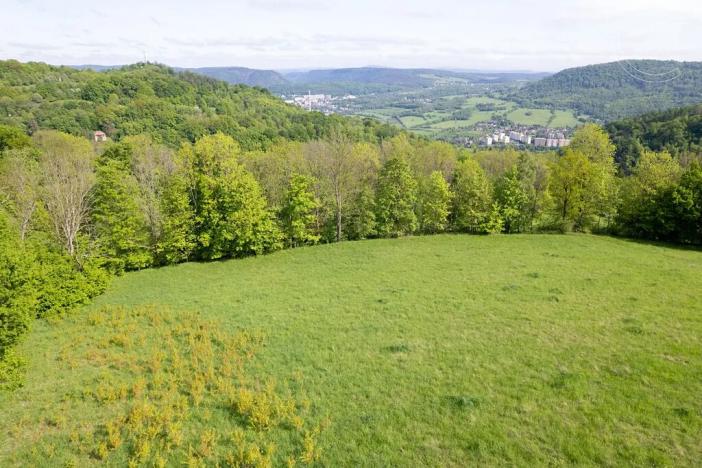 Prodej louky, Děčín, 27274 m2