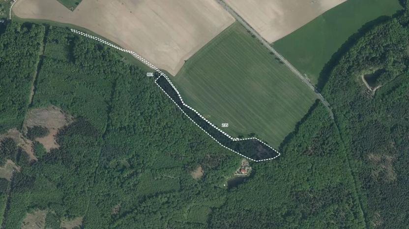 Prodej lesa, Radhošť, 14611 m2